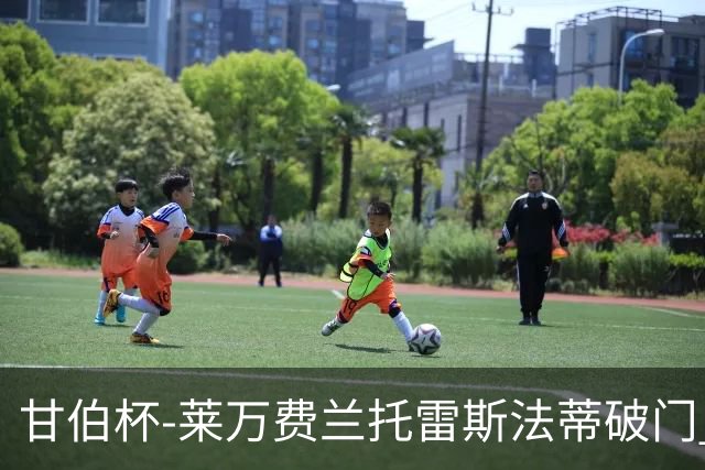 甘伯杯-莱万费兰托雷斯法蒂破门 巴萨4-2热刺